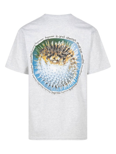 Supreme Blowfish cotton T-shirt outlook