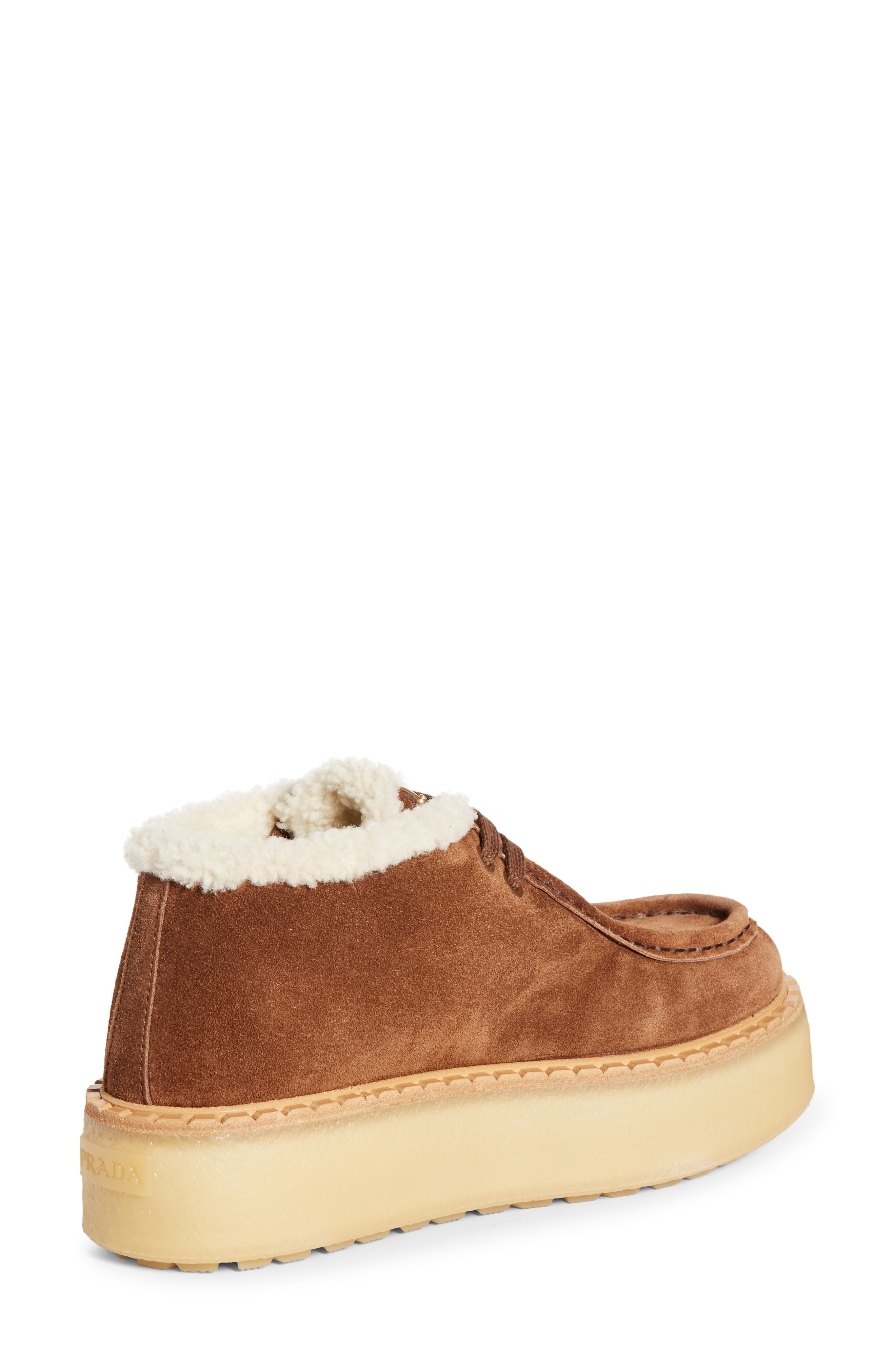 Prada Genuine Shearling Derby Bootie in Cacao at Nordstrom - 2