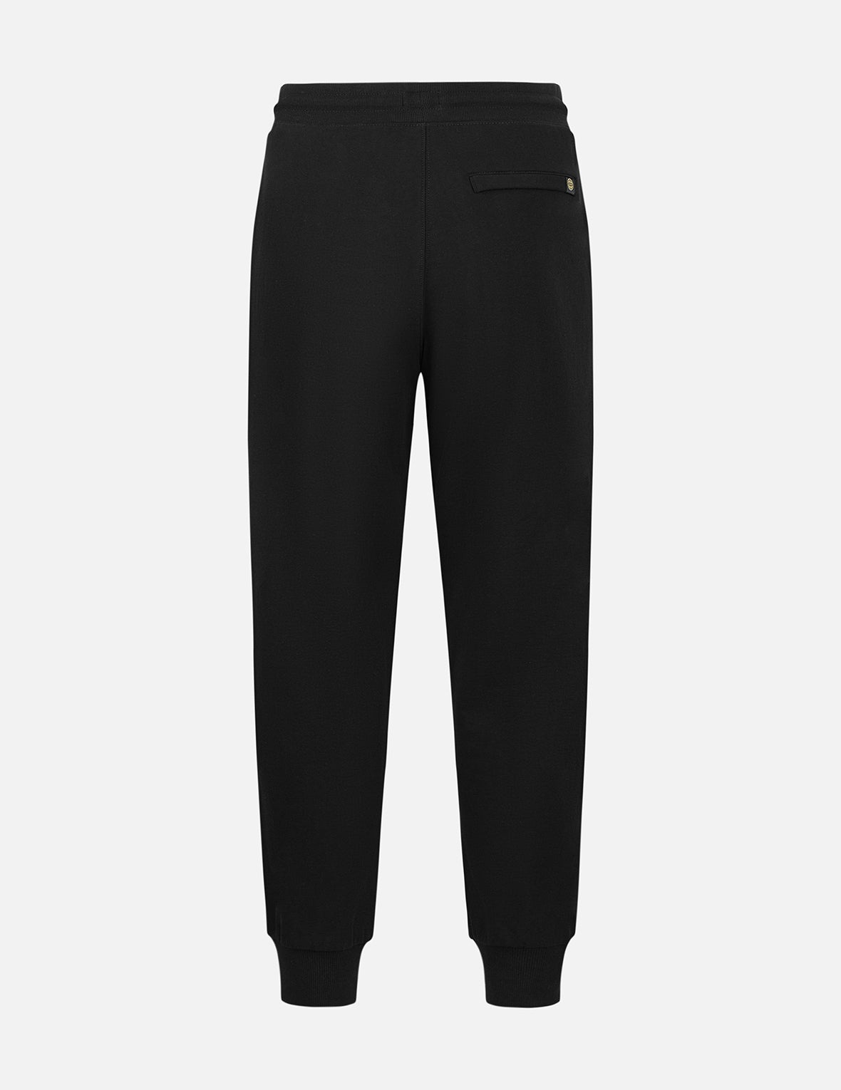Hummingbird and Magnolia Print Regular Fit Sweatpants - 2