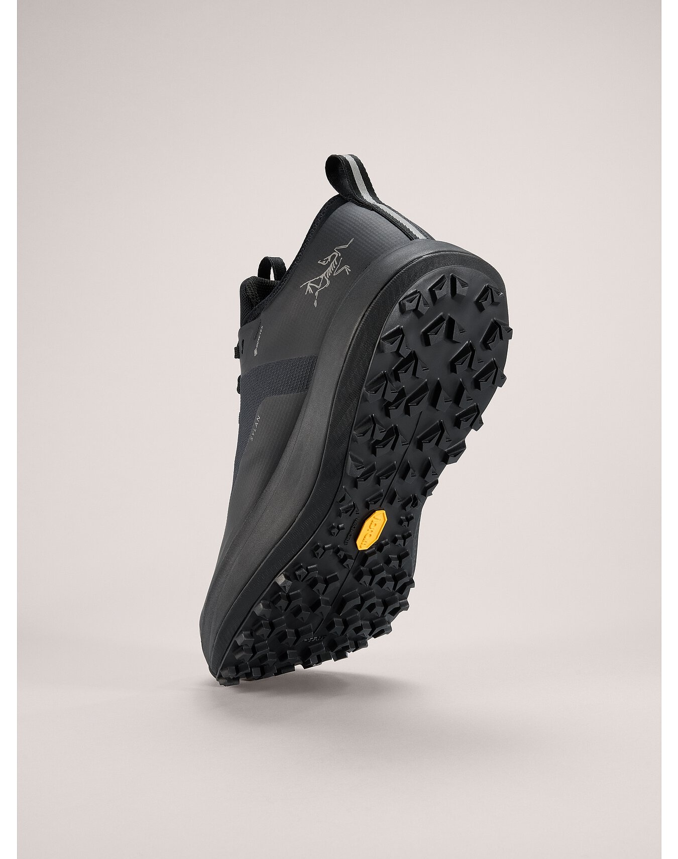 Sylan GTX Shoe - 4