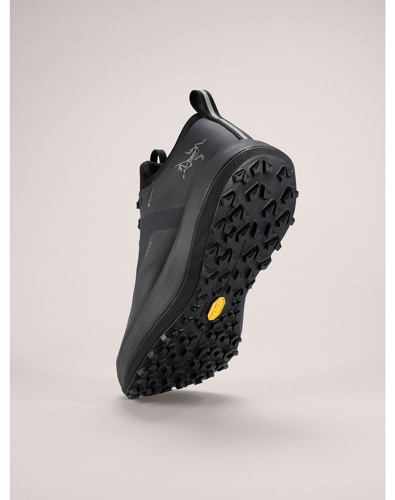 Sylan GTX Shoe 4
