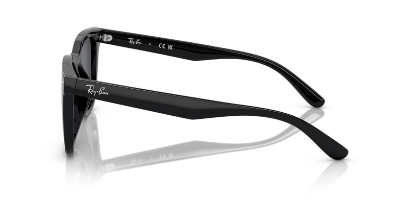 RB4391D 5
