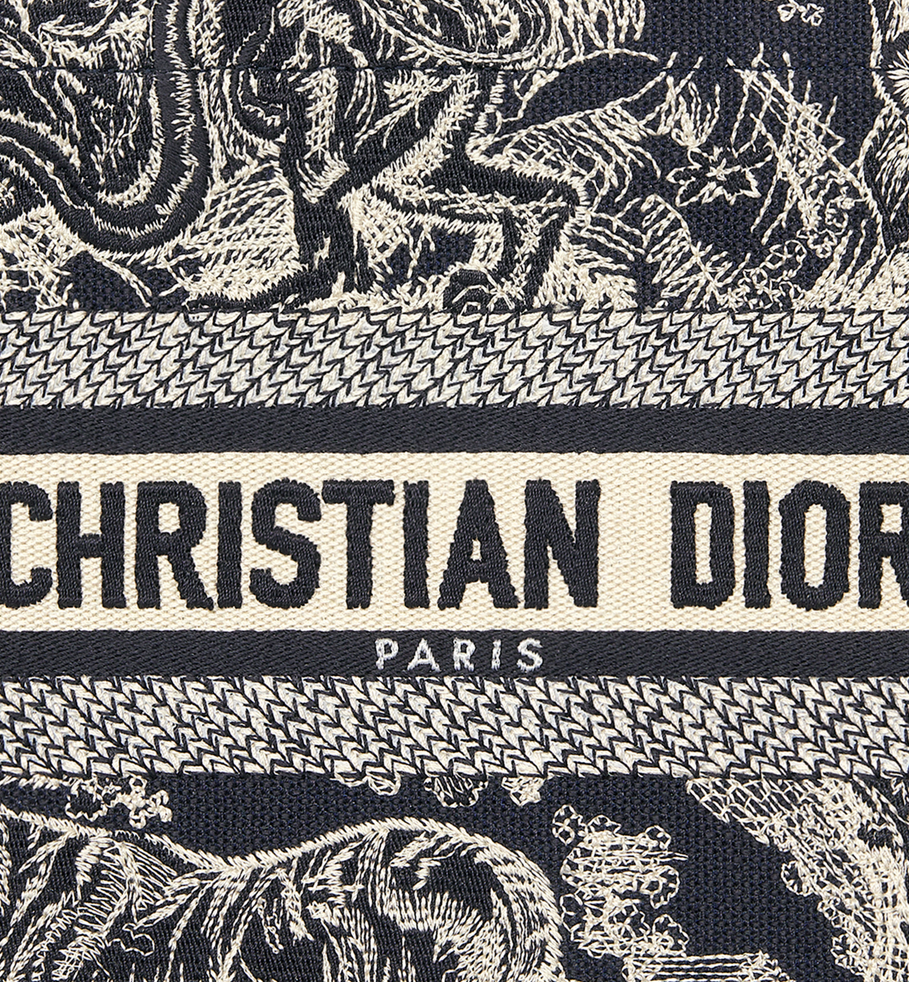 Small Dior Book Tote - 6