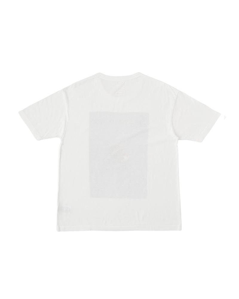 JUMBO TEE S/S (Subsequence) GREEN - 2