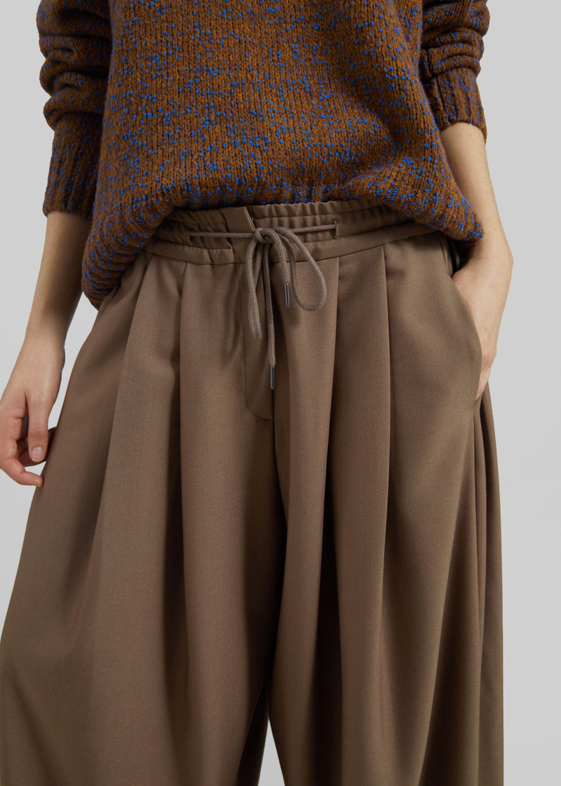 Corlen Pleated Wide Pants - Brown 3