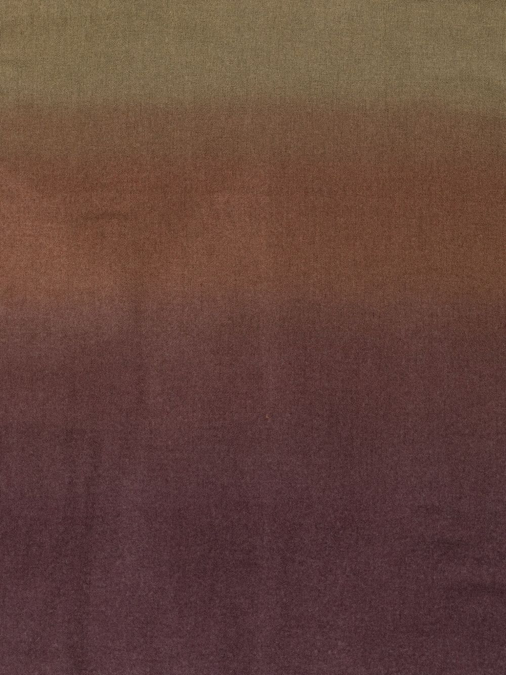 Chal Cristina ombre frayed-edge scarf - 2