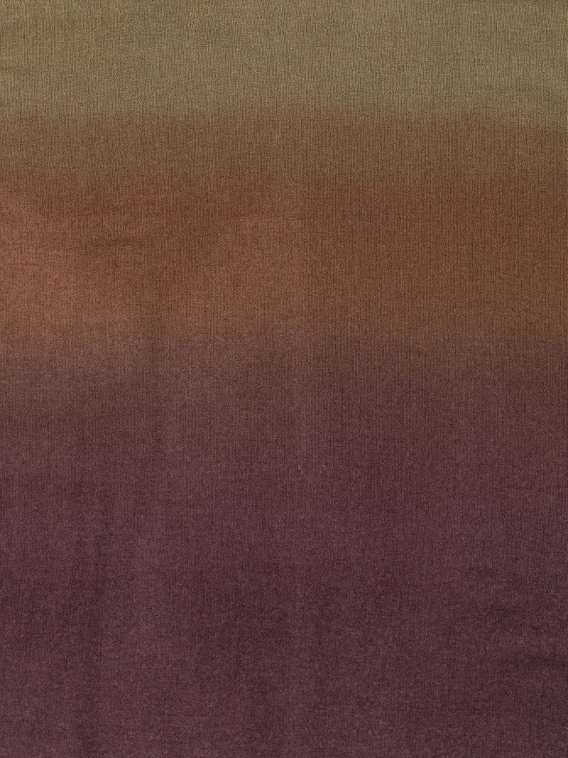 Faliero Sarti Chal Cristina ombre frayed-edge scarf outlook