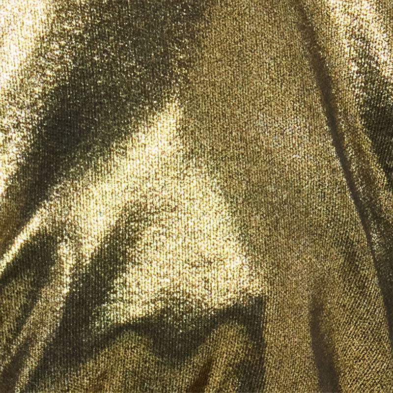 Golden Bikini Brief 5