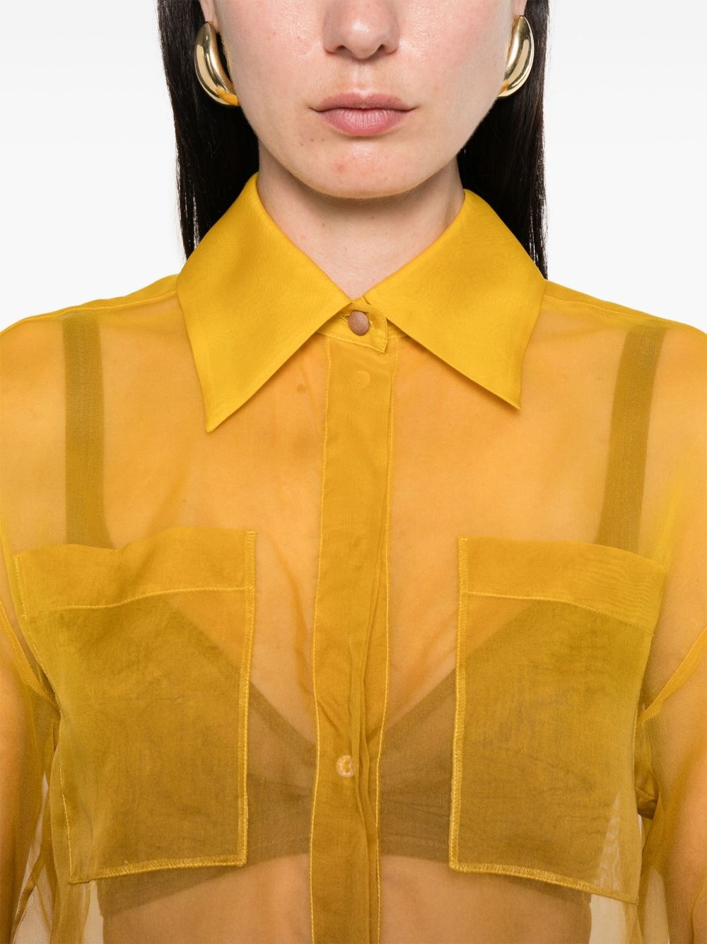 semi-sheer shirt - 5