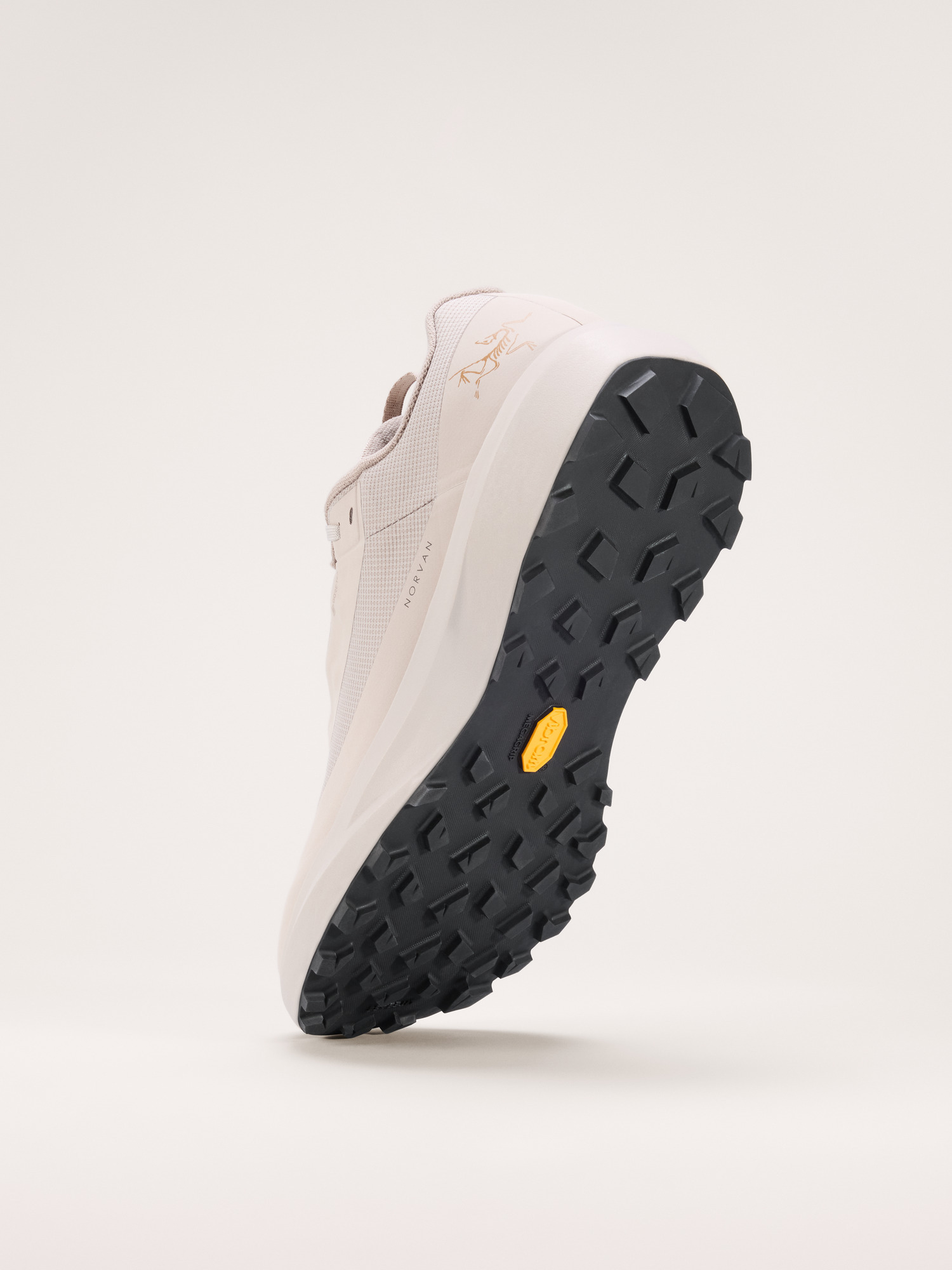 Norvan LD 4 GTX Shoe - 4