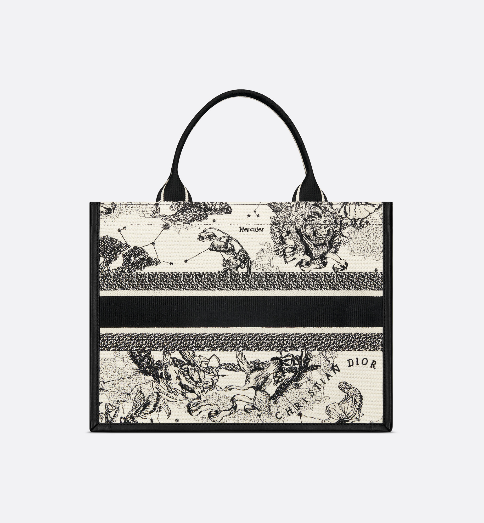 Medium Dior Book Tote - 2