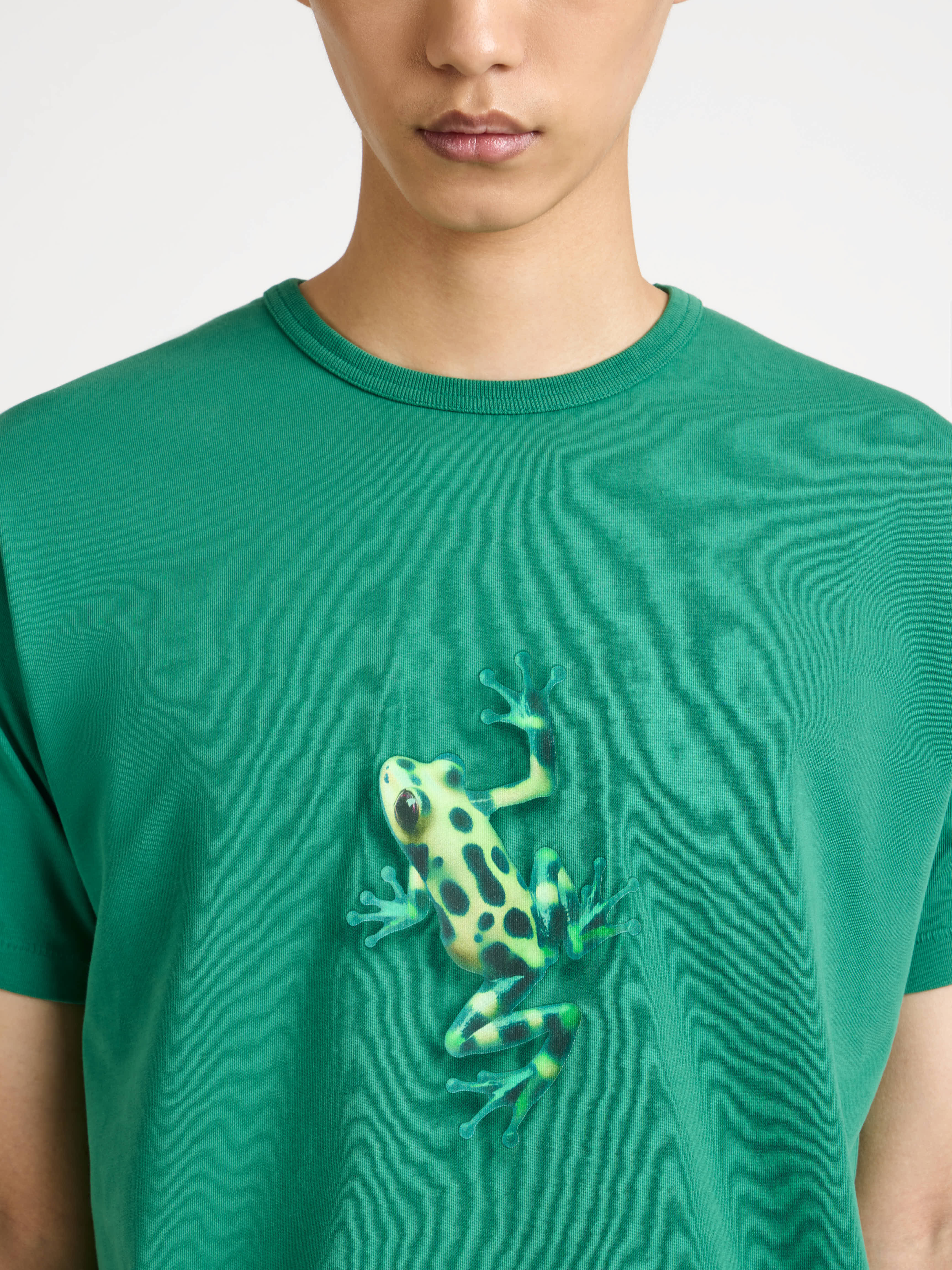 JUMPING FROG T-SHIRT IN EMERALD - 6