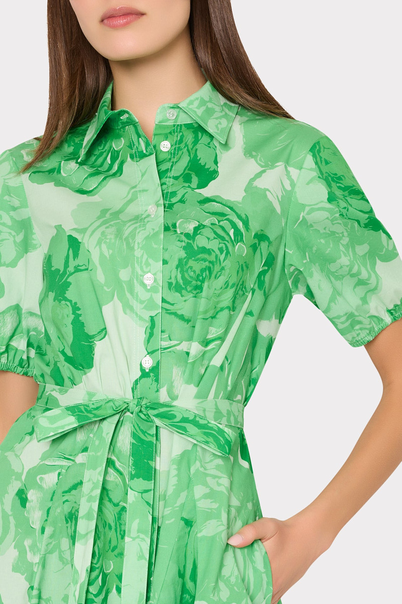 Juni Printed Poplin Dress 4