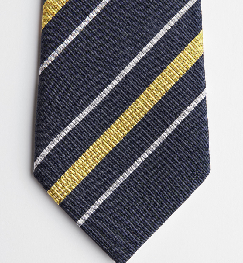 Striped Dior Tie 4