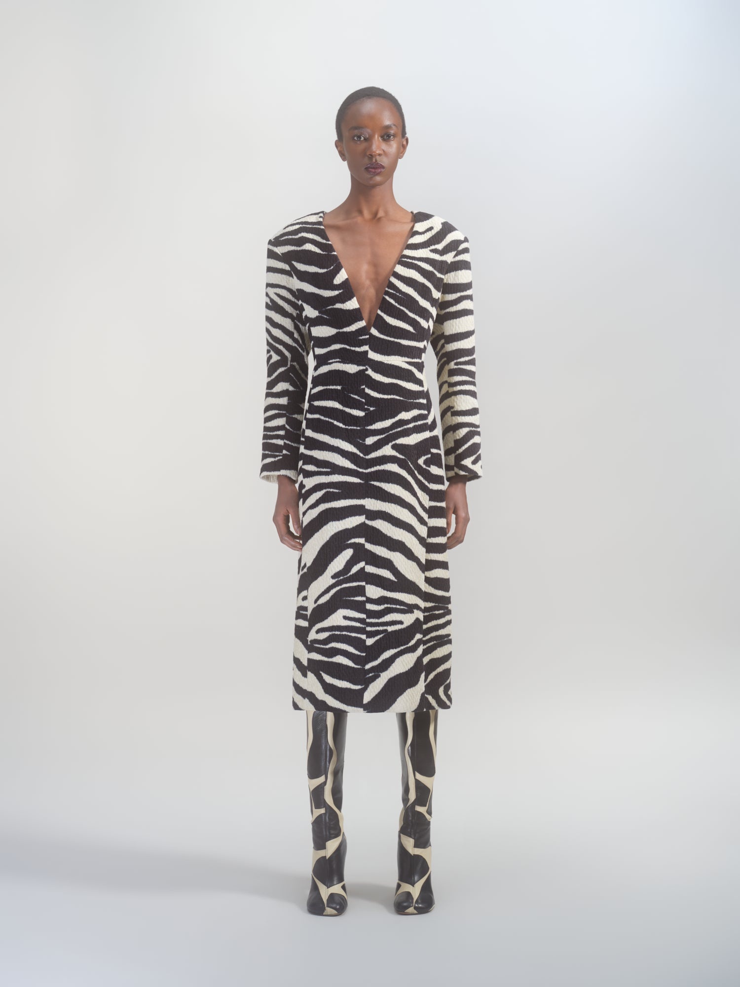 ZEBRA DRESS - 2