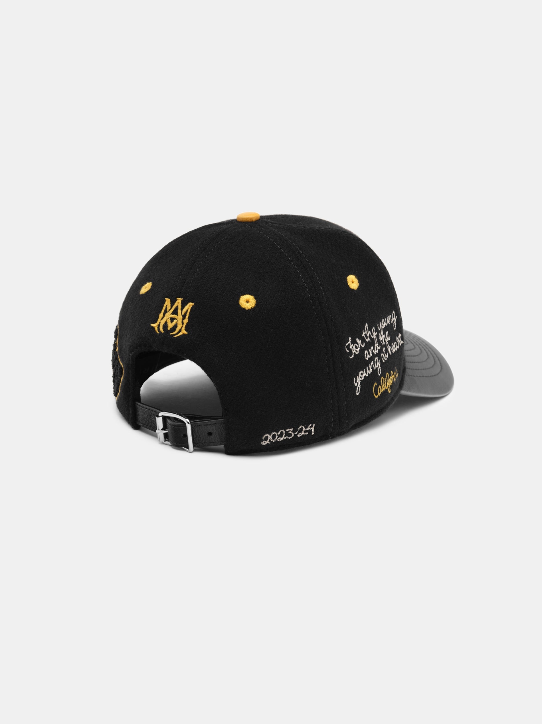MA VARSITY HAT - 3