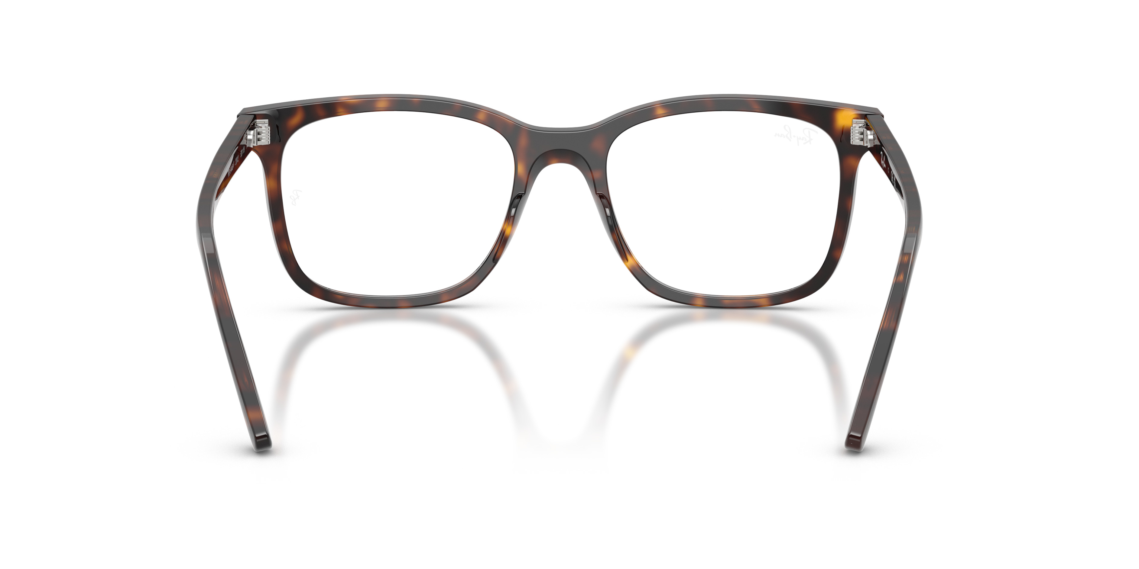 RB5446 OPTICS - 6