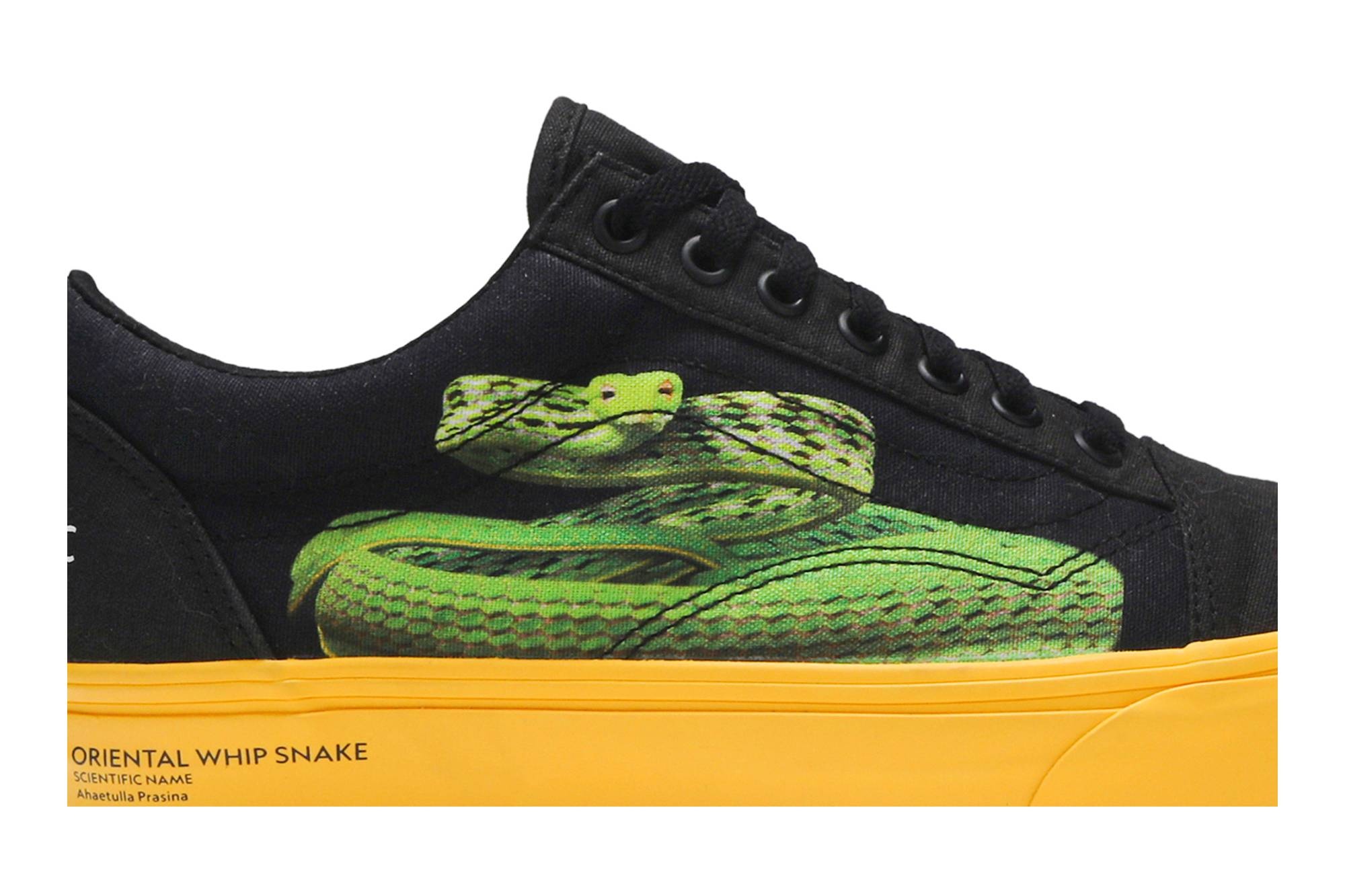 National Geographic x Old Skool 'Photo Ark' - 2