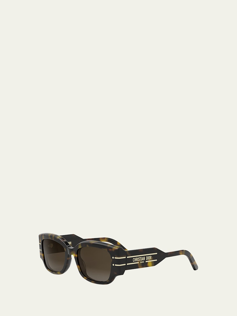 Dior DiorSignature S13I Sunglasses outlook