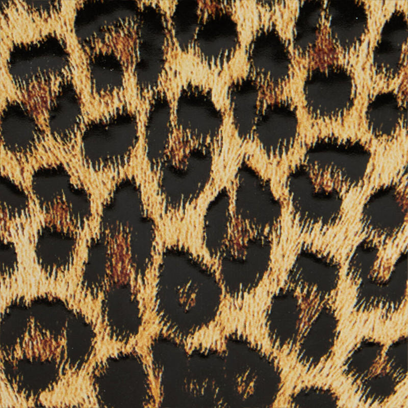 Leopard Print Roar Pochette Bag 4