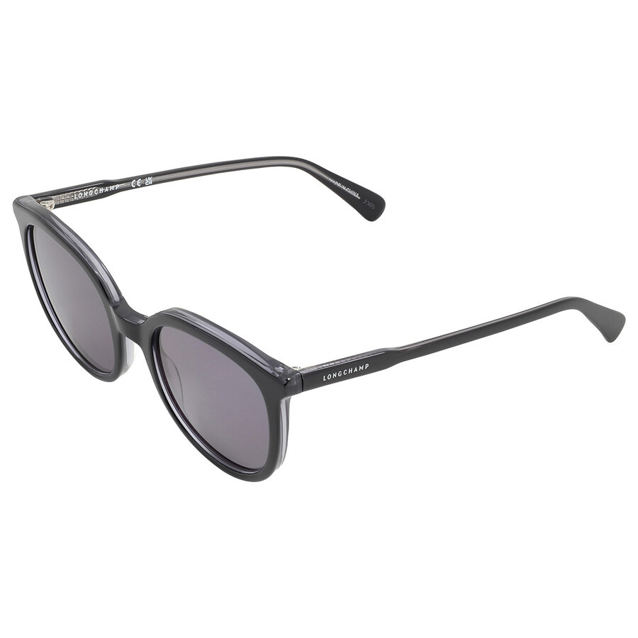 Longchamp Dark Grey Oval Ladies Sunglasses LO739S 018 50 - 5
