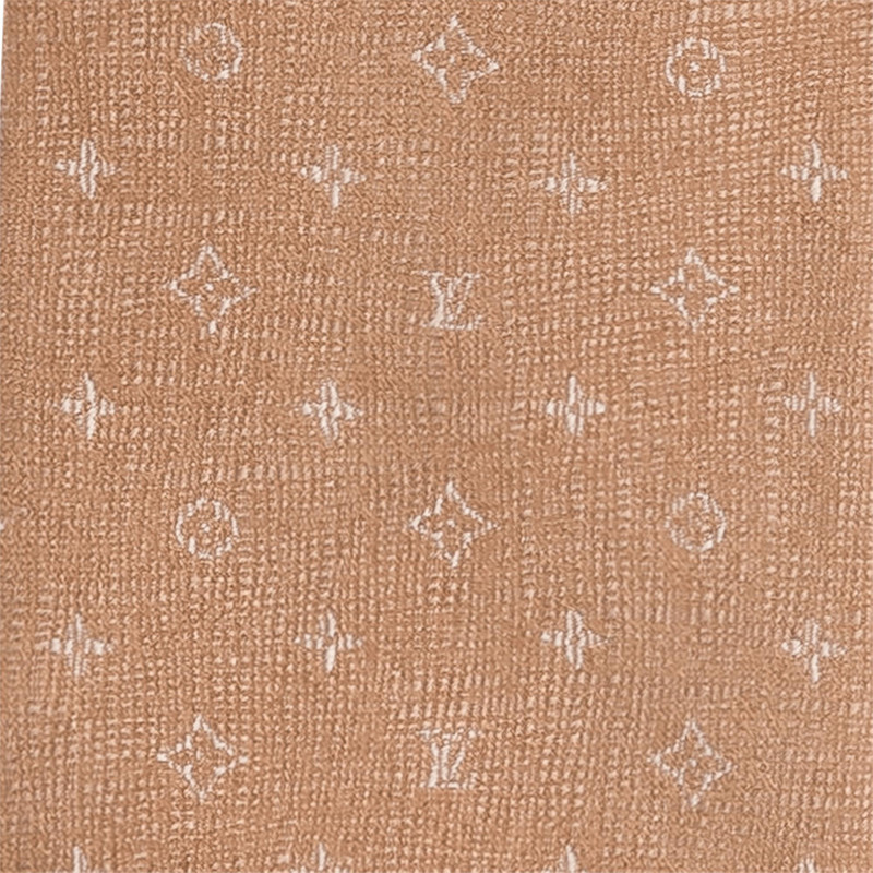 Louis Vuitton MNG Jasper Tie outlook