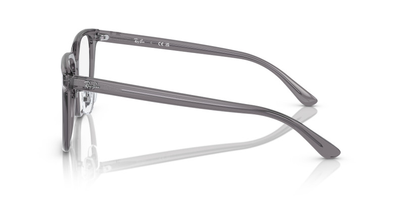RB5419 OPTICS 5