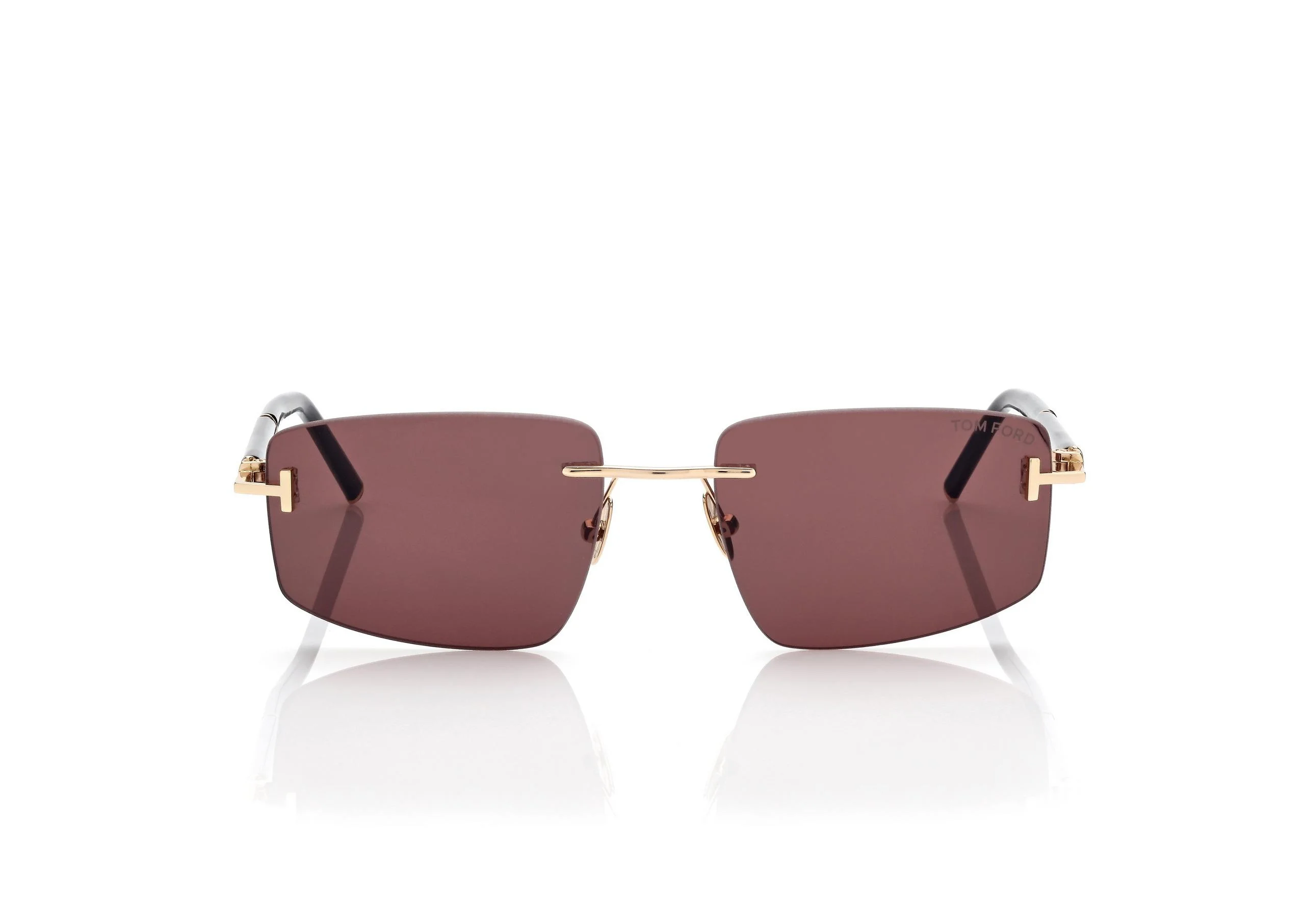 SQUARE TITANIUM AND HORN SUNGLASSES - 1