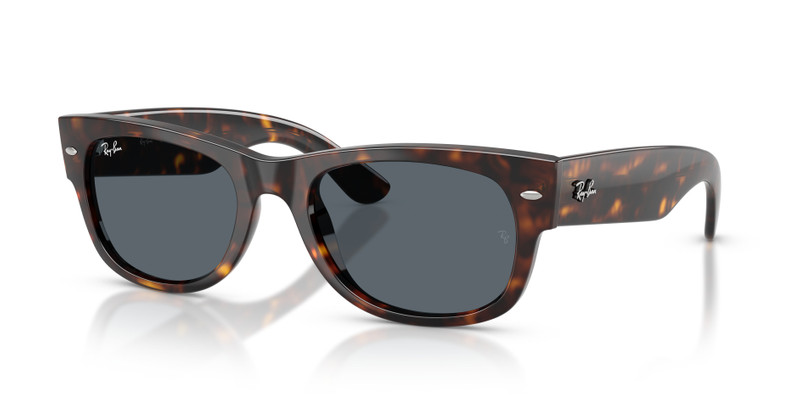 MEGA WAYFARER II 1