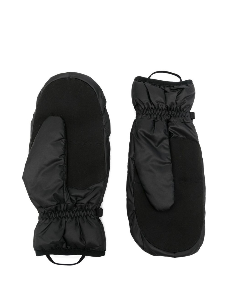 Patagonia Nano Puff mittens outlook