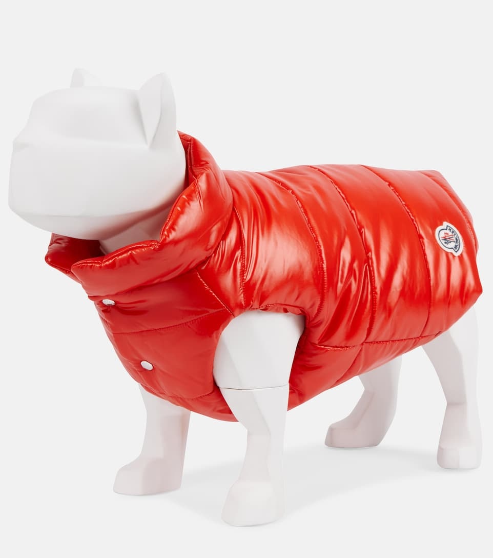 x Poldo Dog Couture dog coat - 3