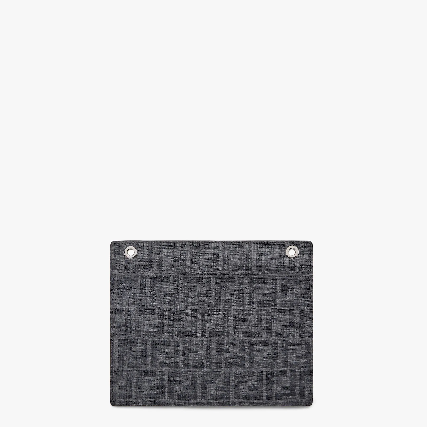 Gray elaphe pocket - 2