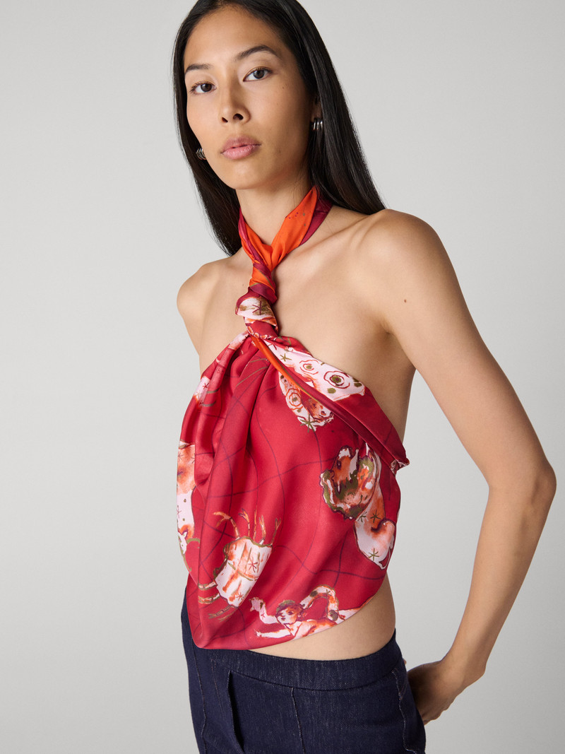Zodiac Flag Scarf 2