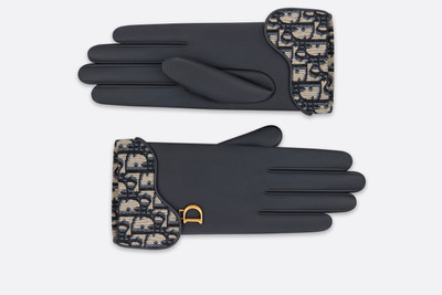 Dior Saddle Gloves outlook