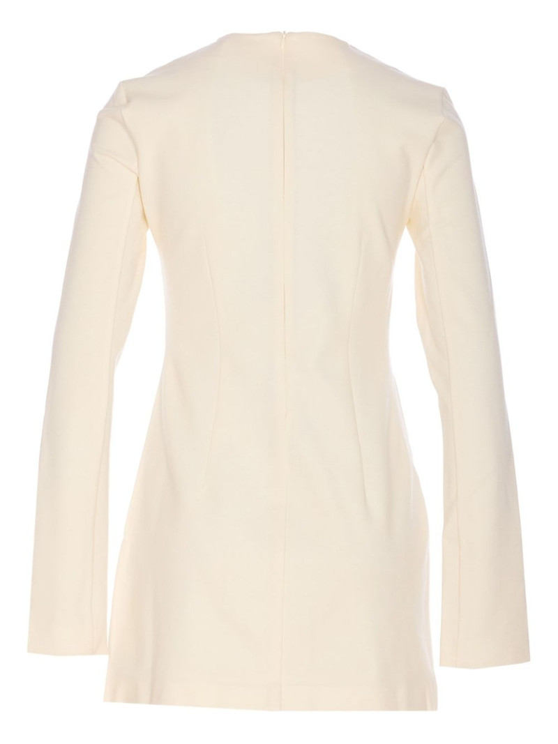 Max Mara Alpino long-sleeved mini dress outlook