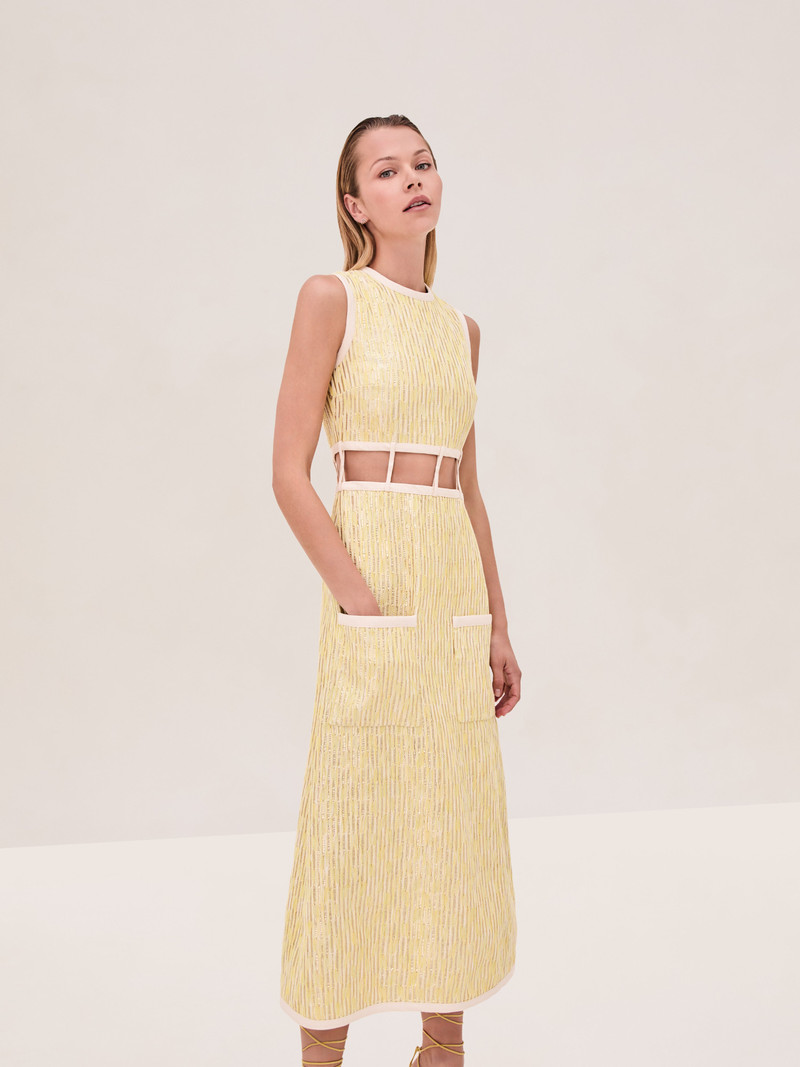 ALEXIS Renee Dress outlook
