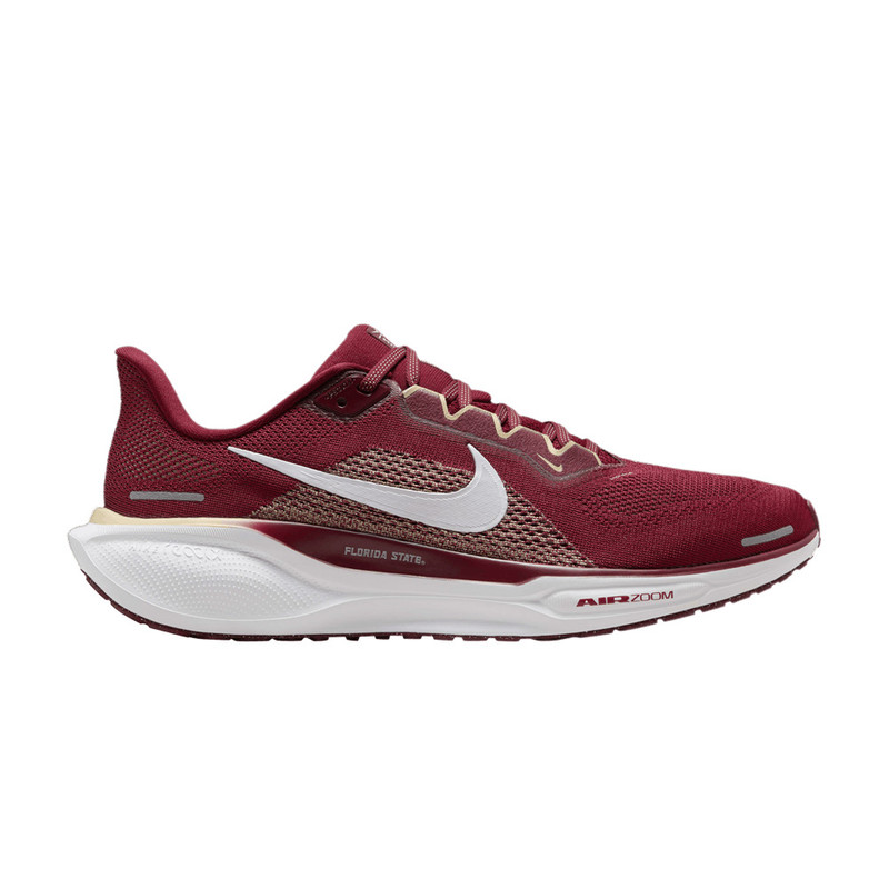 Air Zoom Pegasus 41 'Florida State' - 1