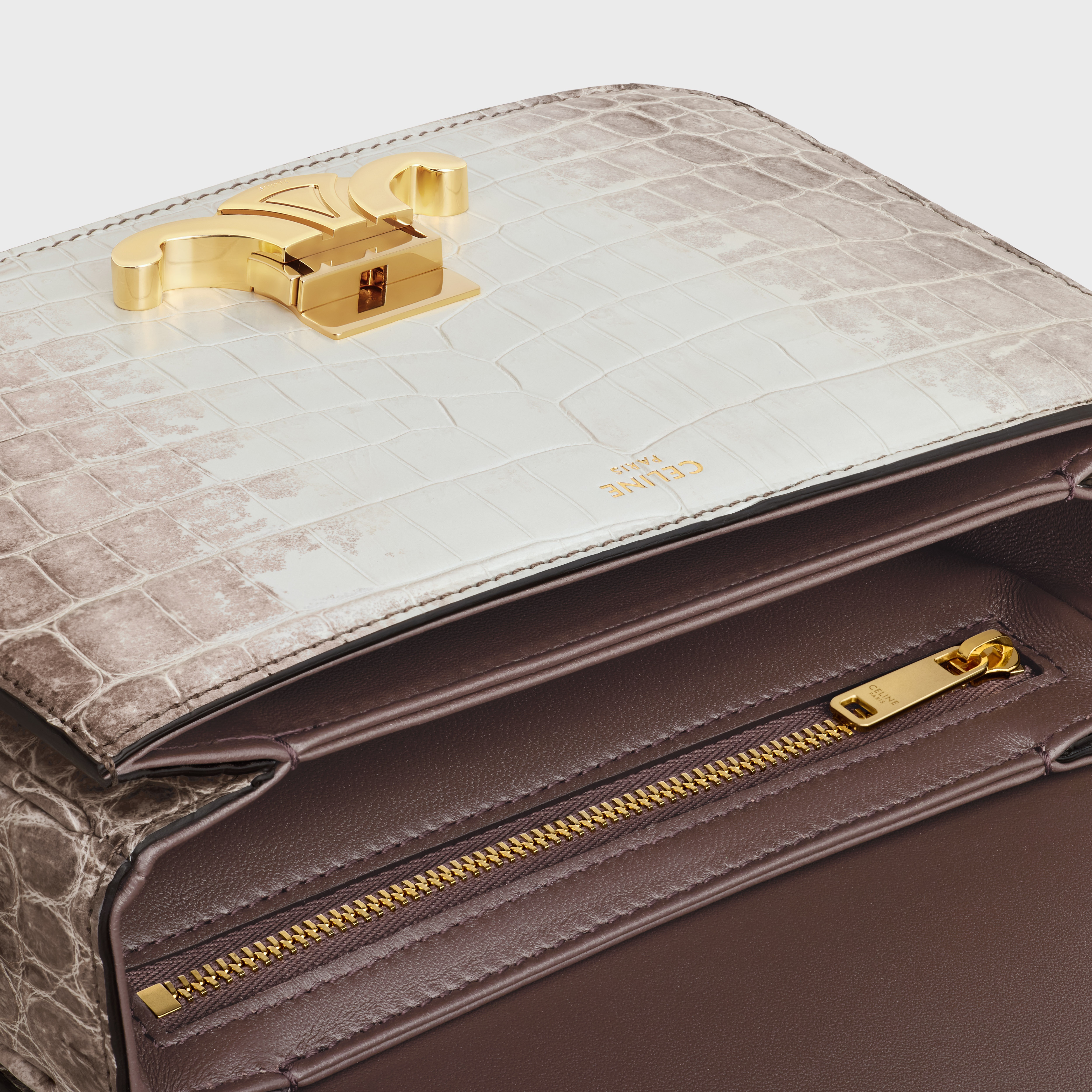 Teen Triomphe Bag in Niloticus Crocodile - 4