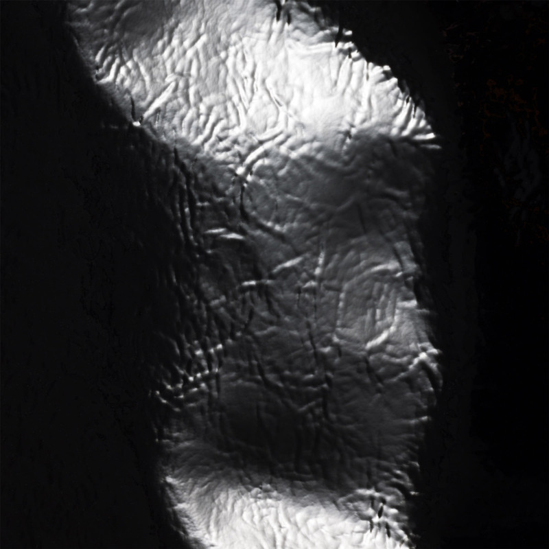 IVY naplak patent leather bag 5