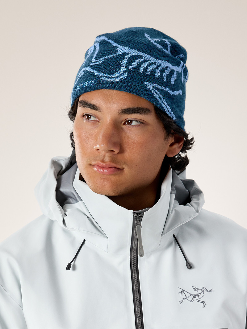 Arc'teryx Bird Head Toque outlook