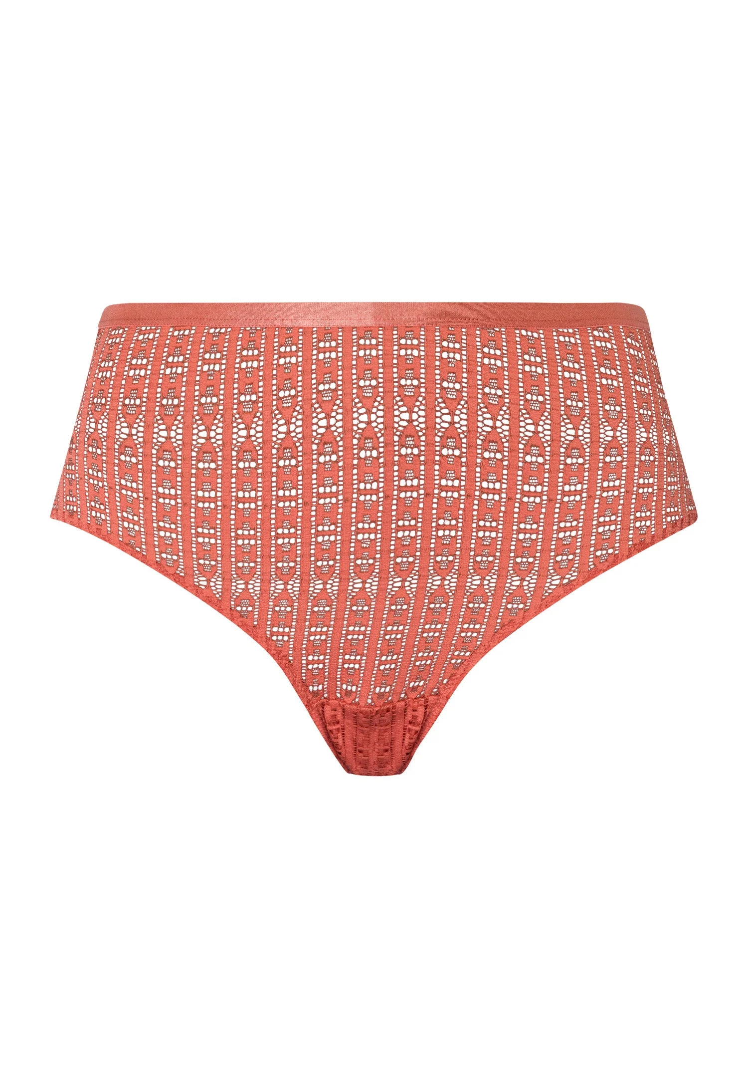 Hedy High Cut Brief - 1
