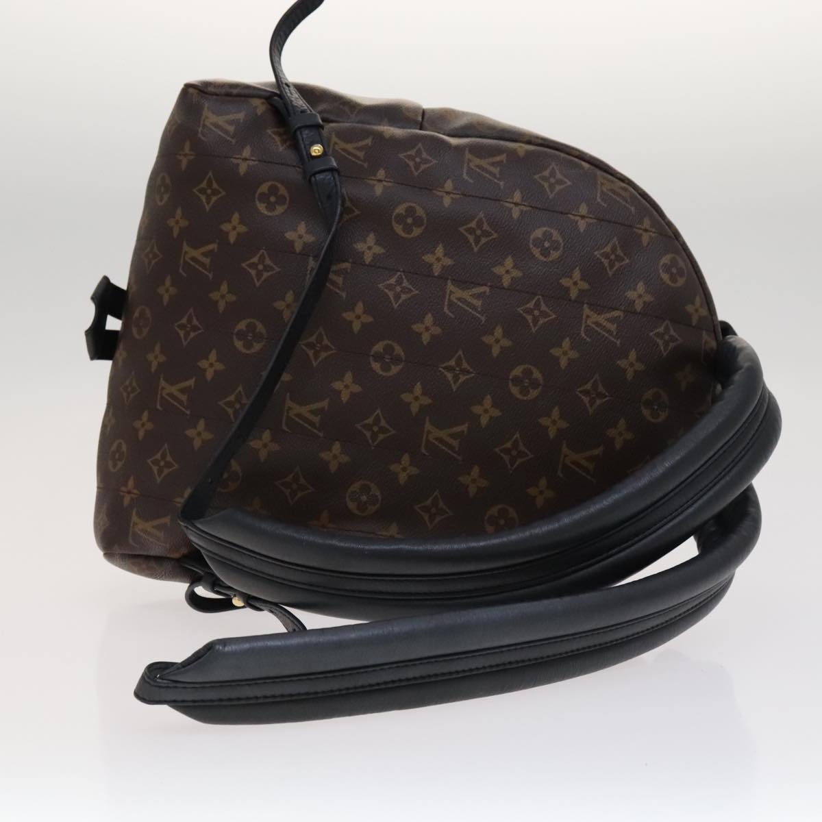 Louis Vuitton LOUIS VUITTON Monogram Palm Springs MM  display picture 3