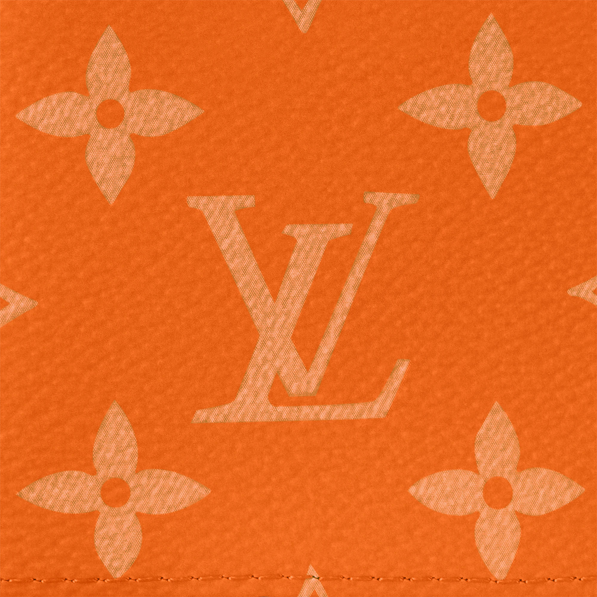 Passport Cover - 5