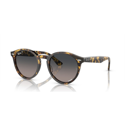 Ray-Ban RB7680S Larry outlook