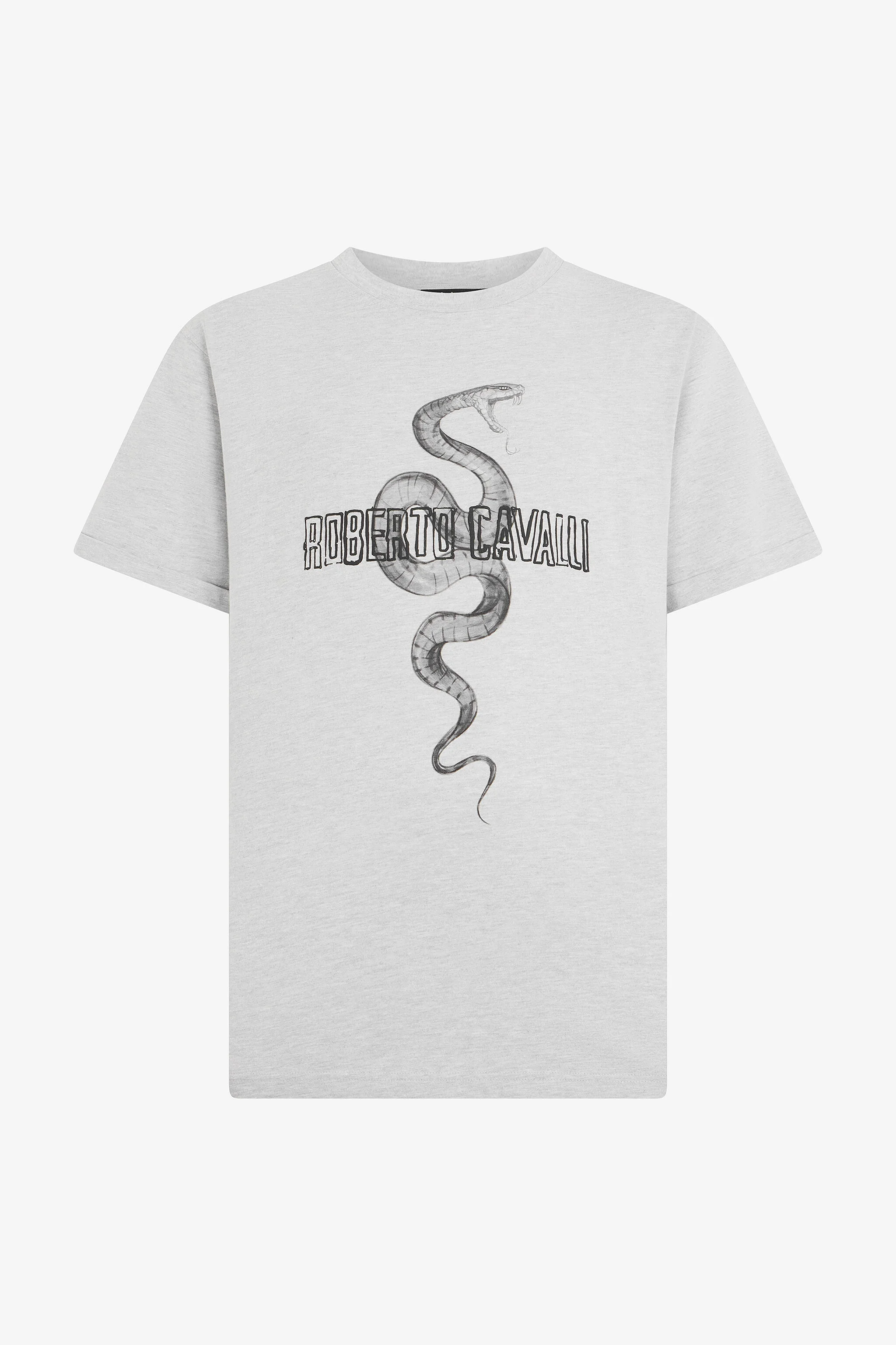 Grey Mélange T-Shirt with Snake and Logo - 1