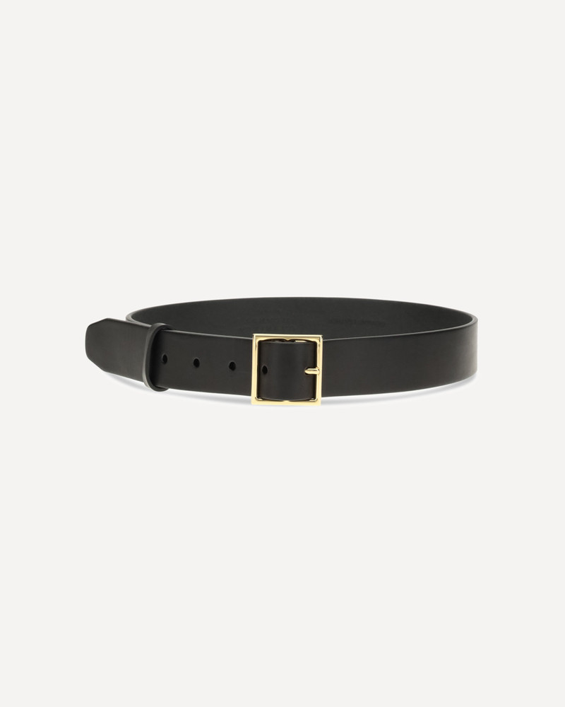 GABRIELA HEARST Adler Belt outlook