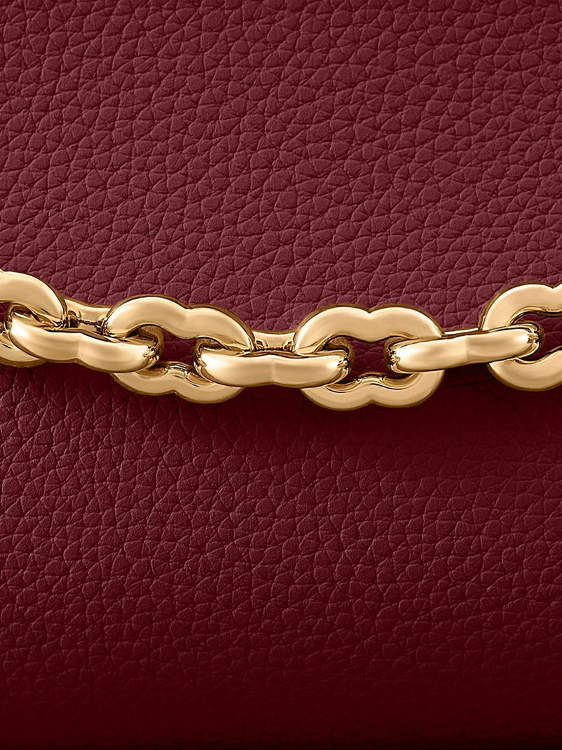 The Palais Soirée chain shoulder bag 4