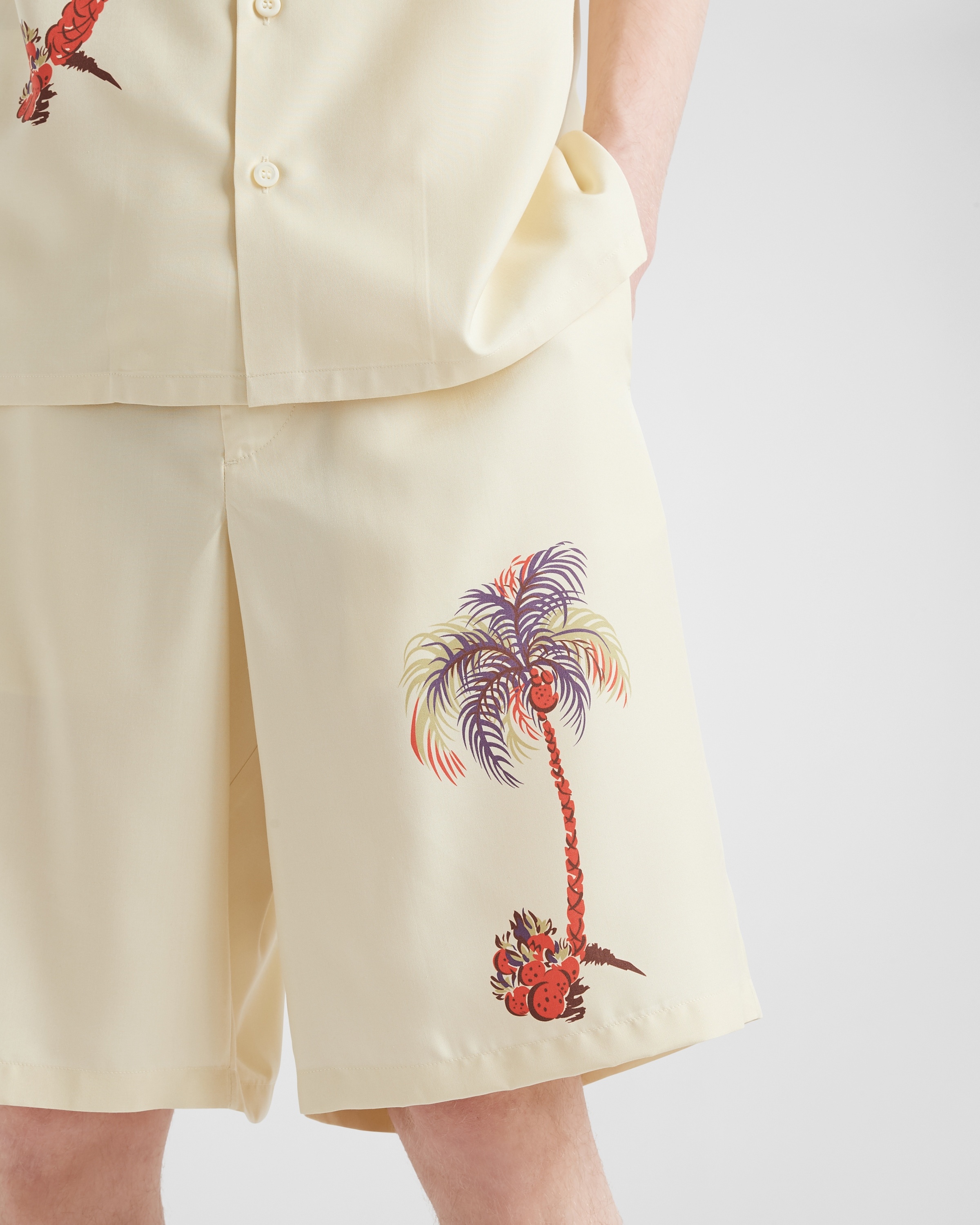 Silk Bermudas - 3