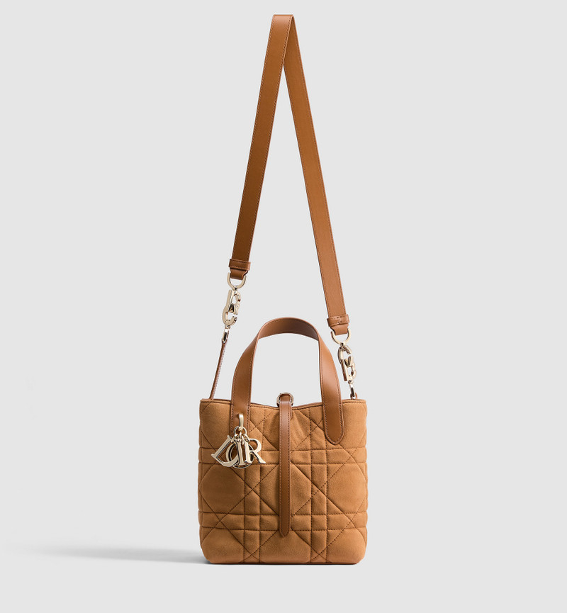 Small Dior Toujours Vertical Tote Bag 4