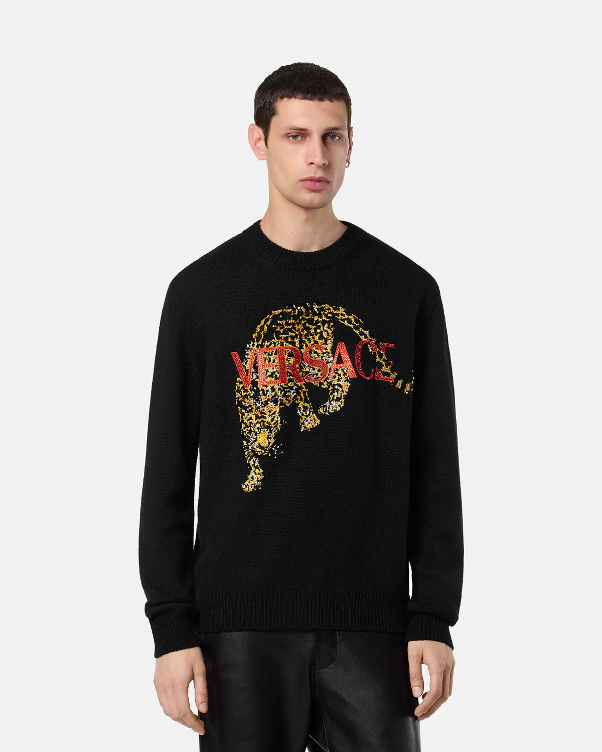 Crystal Versace Leopard Wool Knit Sweater - 4